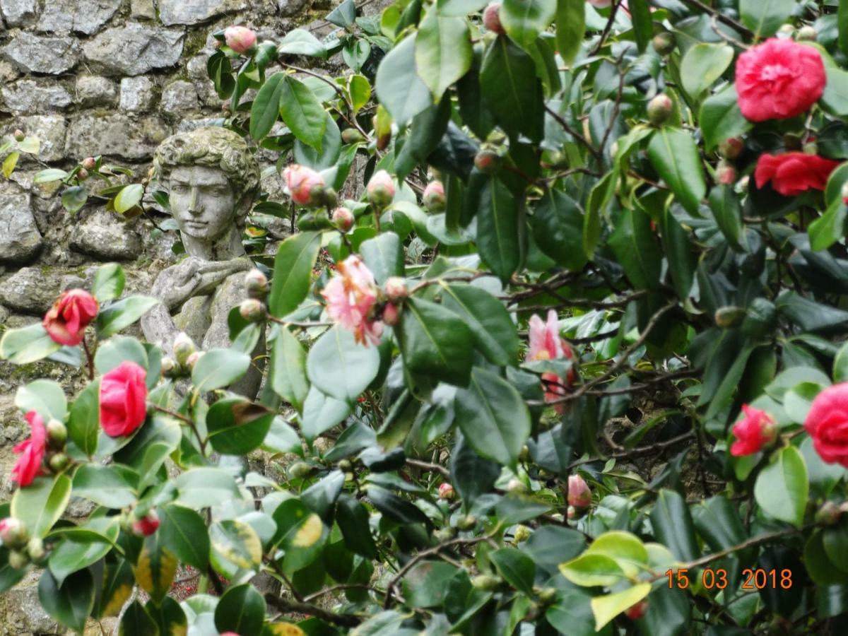 Hotel Particulier "Le Clos De La Croix" Bayeux Luaran gambar